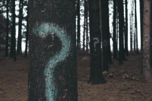 question tree