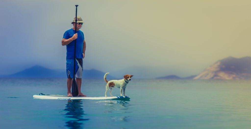 Confident dog
