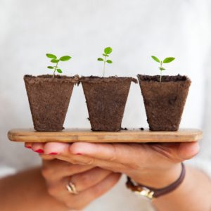 small plants